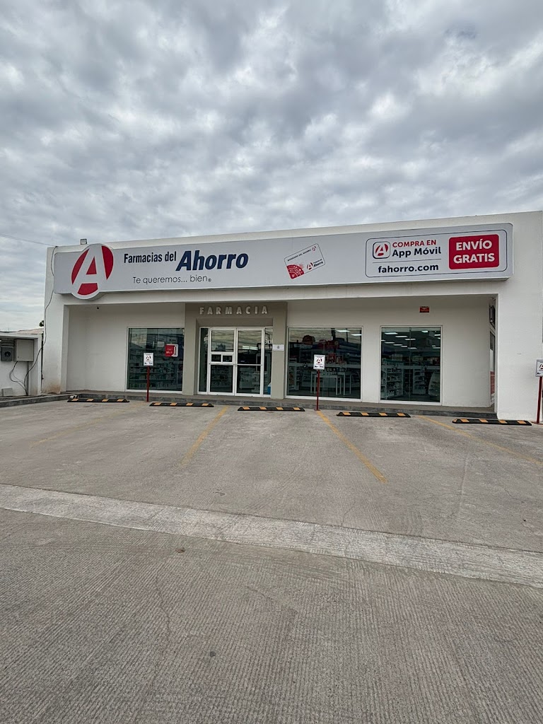 FARMACIAS DEL AHORRO Carnation