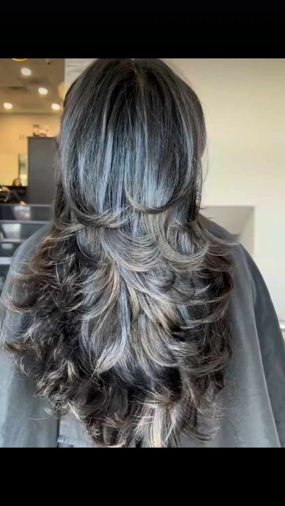 Braids Layers Unisex Salon