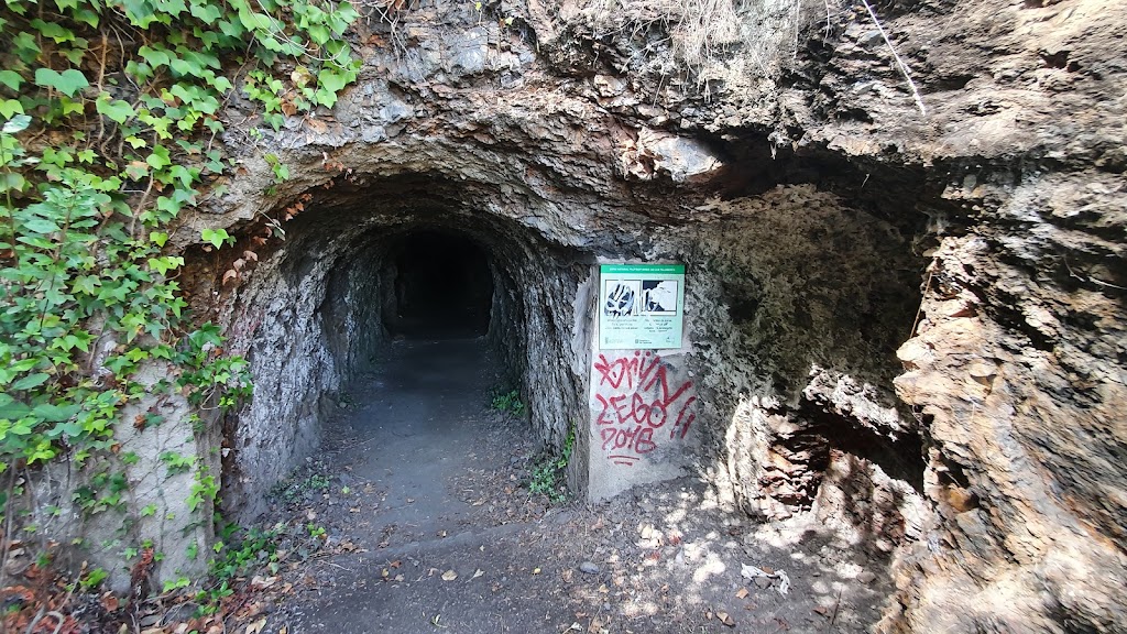 Minas de canpalomera