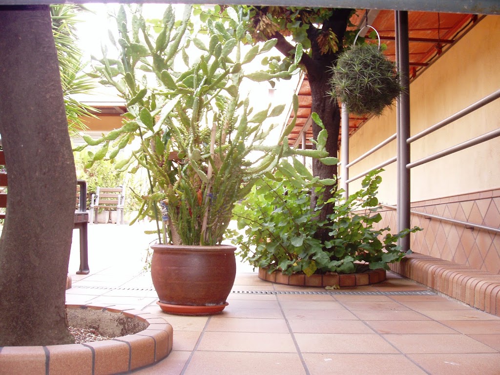 Residencia Vivendi — Del propietario