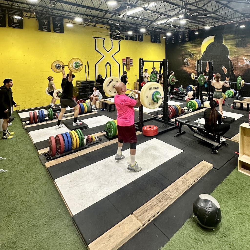  Exclusive Performance