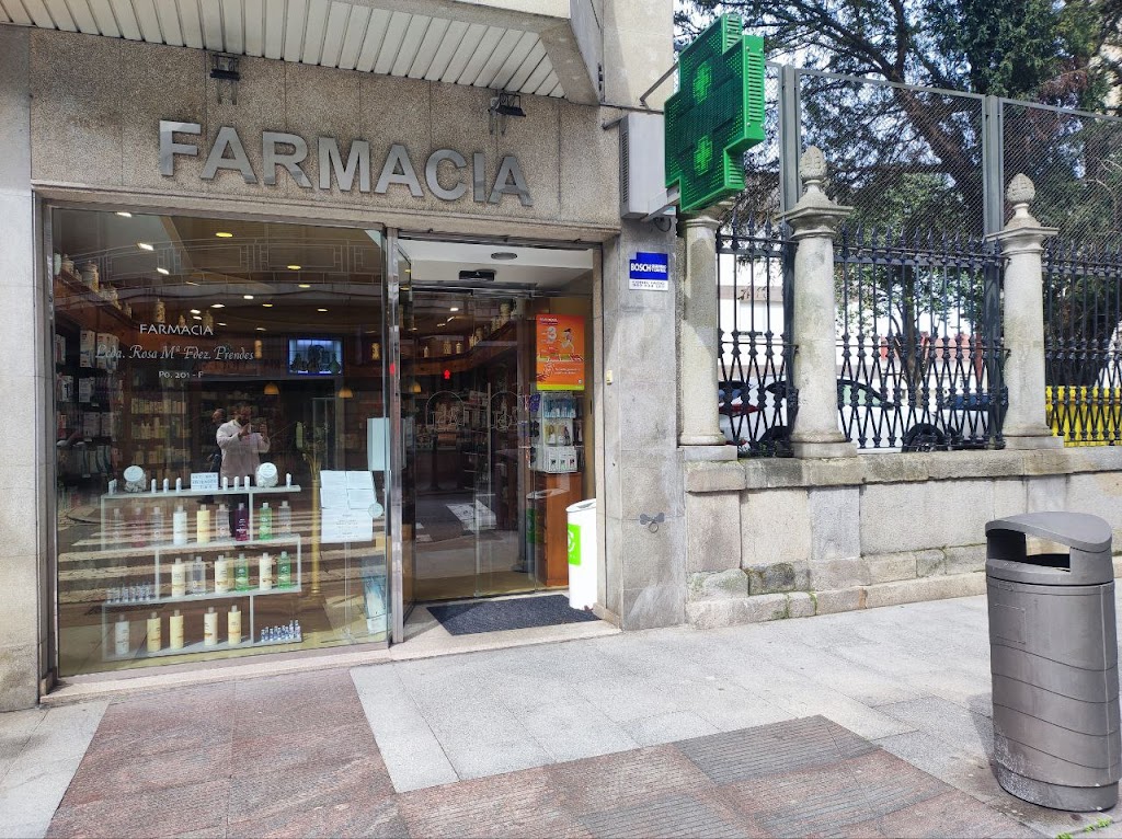 Rosa Maria Fernandez Prendes