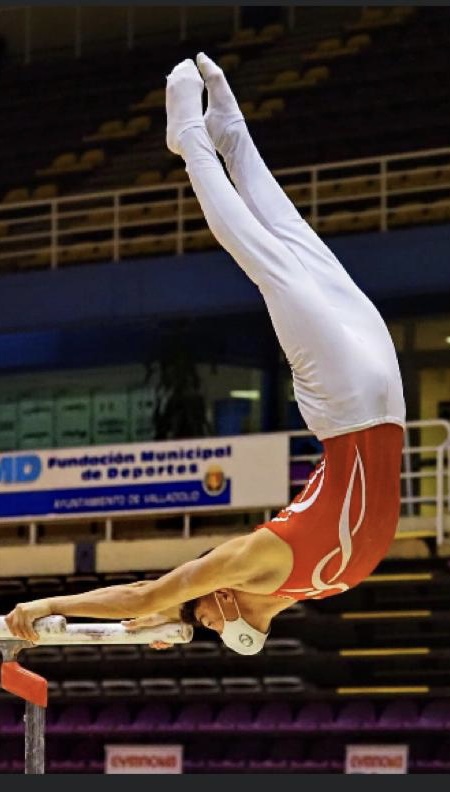 Club Gimnastica Artistica El Pastoret — Del propietario