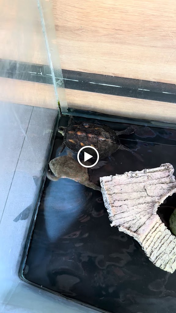 Like 17 in 南投名間 的照片