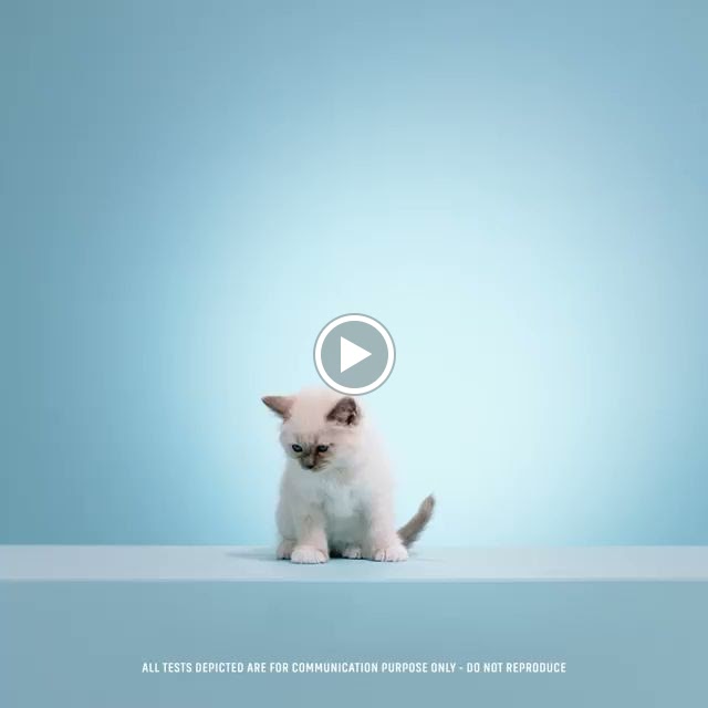 Videos