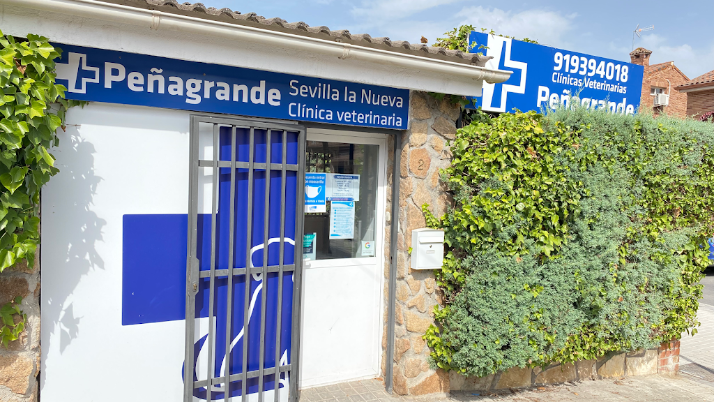 Clinica Veterinaria Sevilla la Nueva