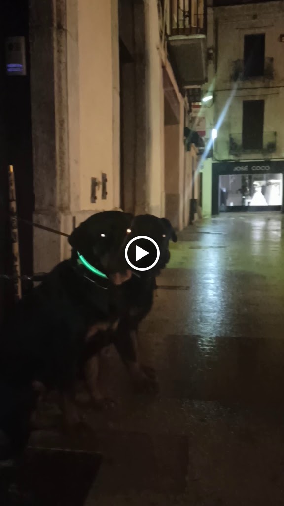 Bar Italia — Videos