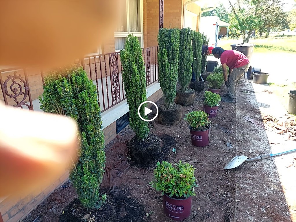 Videos