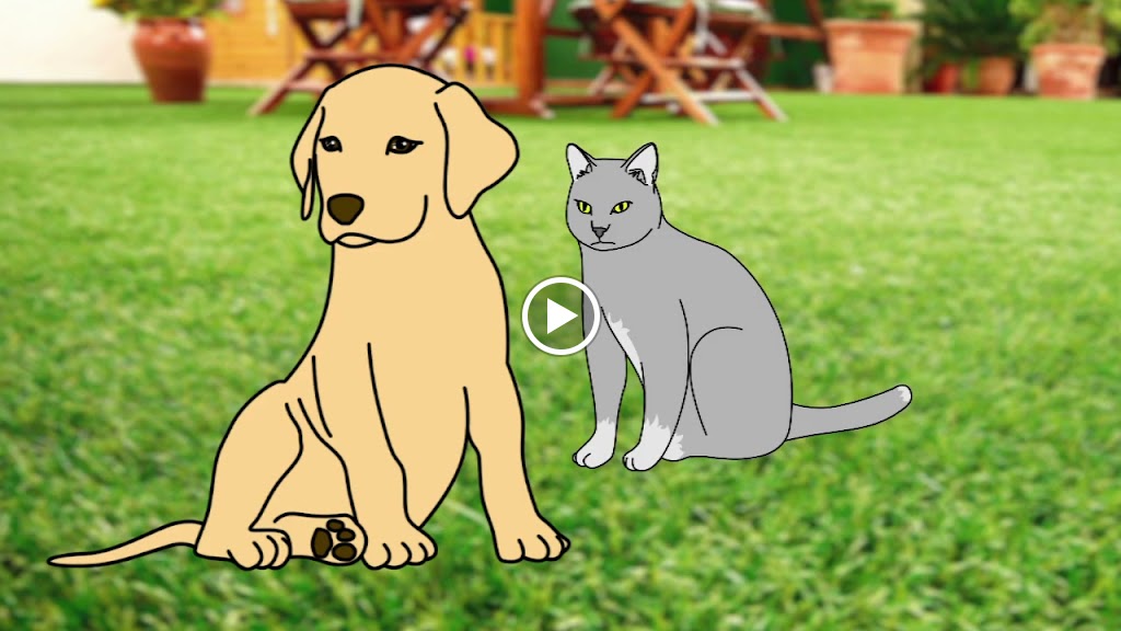Agropexsa Zafra — Gato