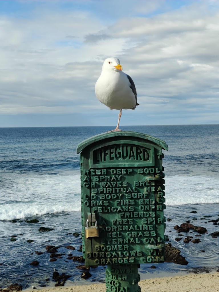 Dr. Dr Vikas Kohli Md American Board Certified