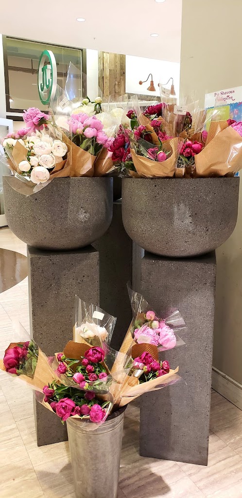 Floral Blossoms