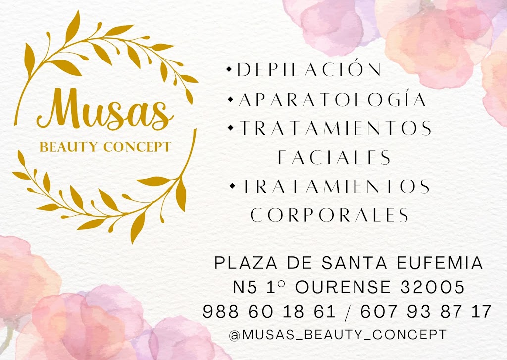 Musas Beauty Concept