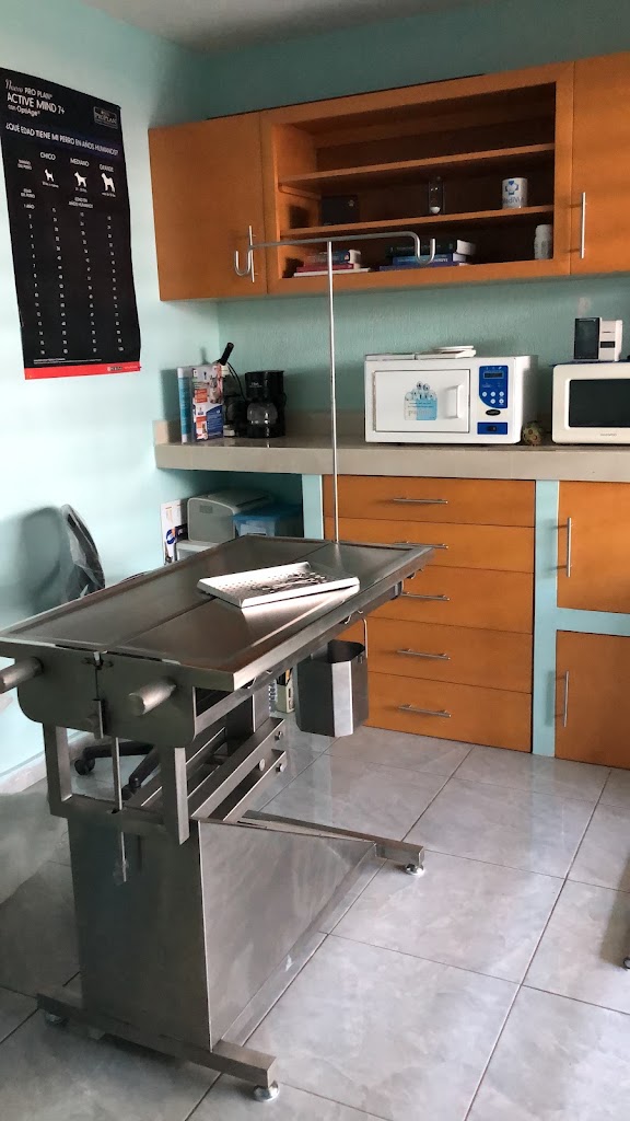 MediVet — Del propietario