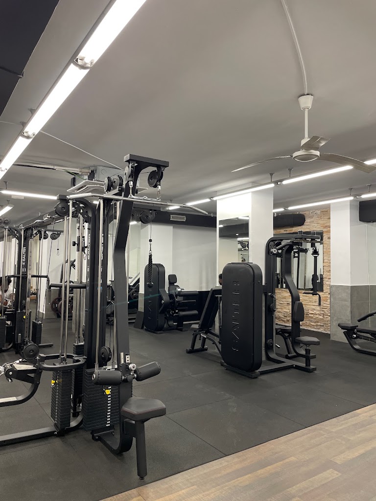 Scandinavian Gymhouse — Banco