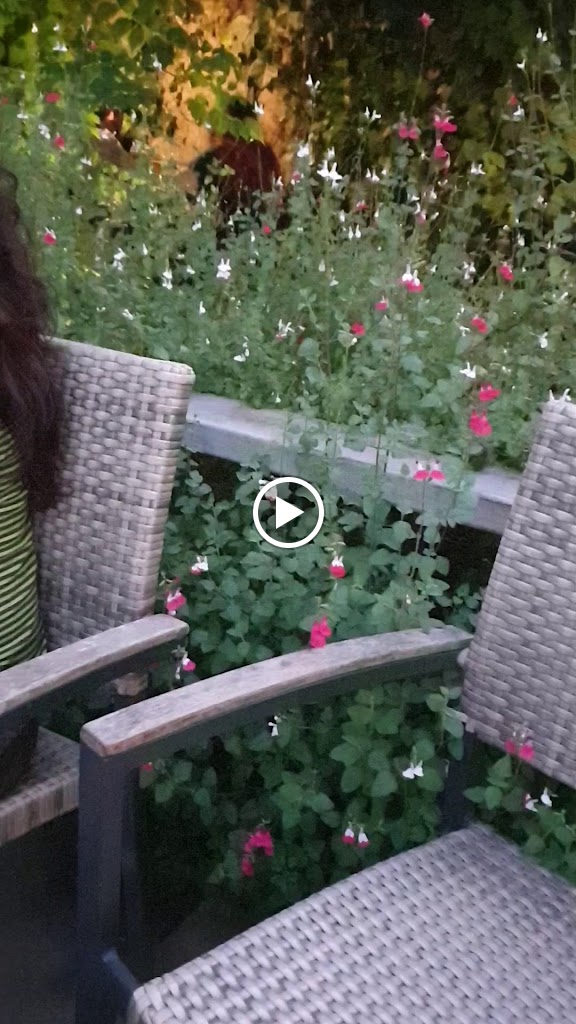 800 Bar — Videos