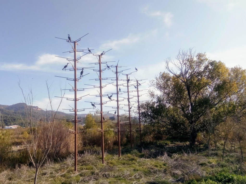 Humedales de Molins de Rey