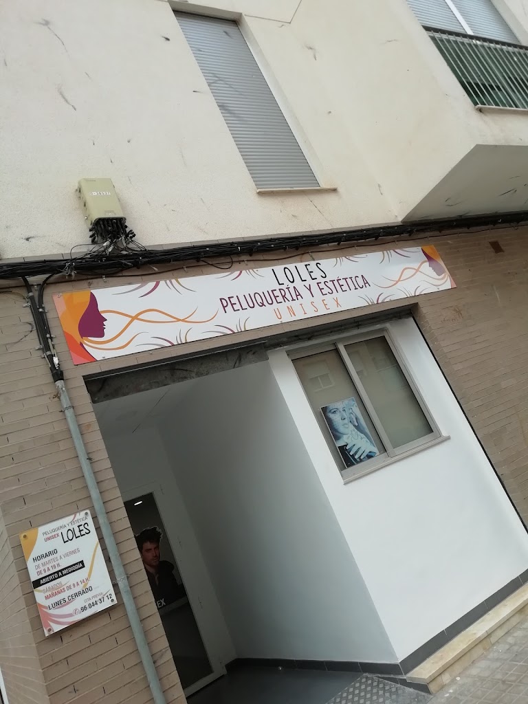 PELUQUERIA Y ESTETICA LOLES