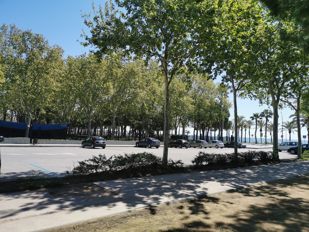 Parquimetre zona blava - 45