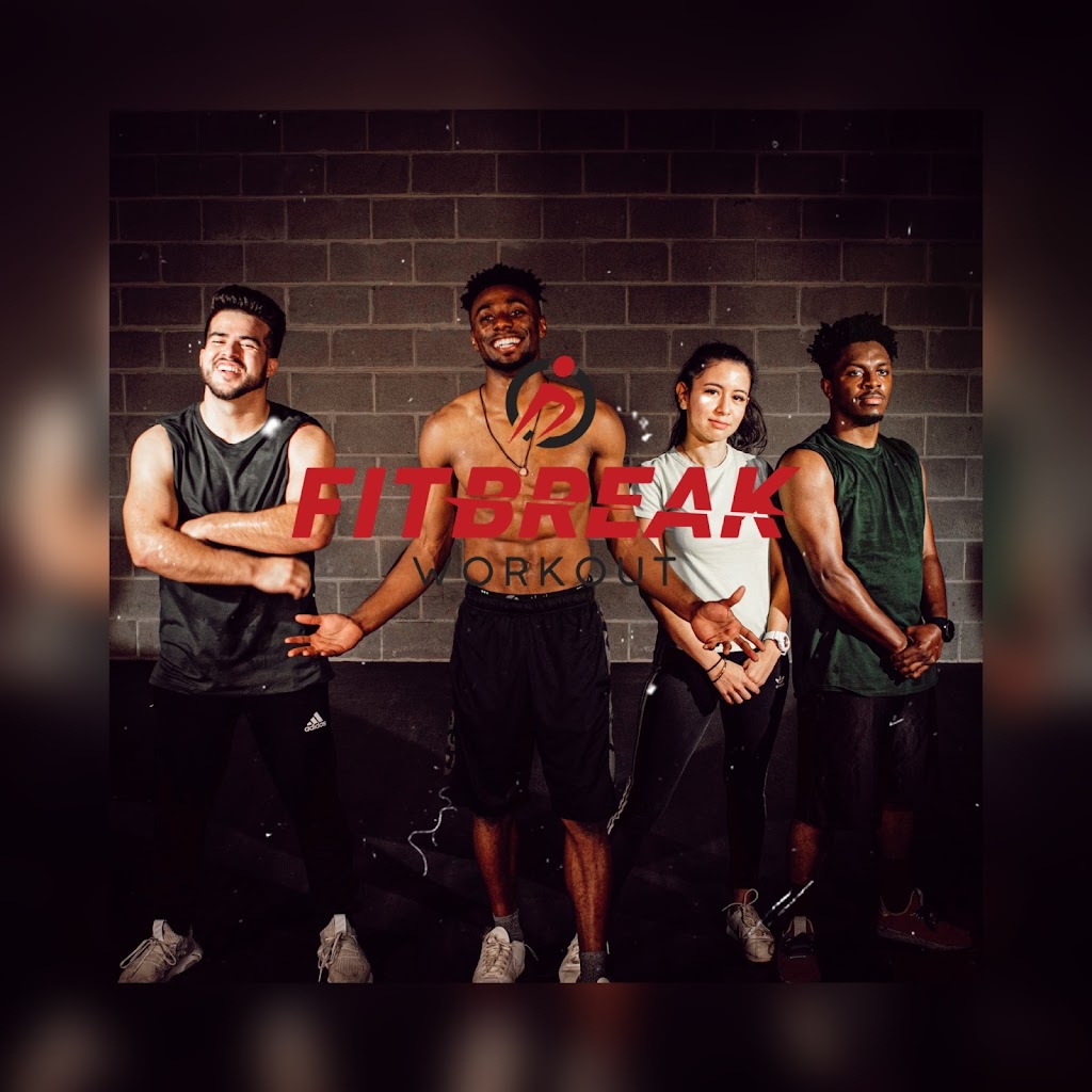  FitBreak Workout