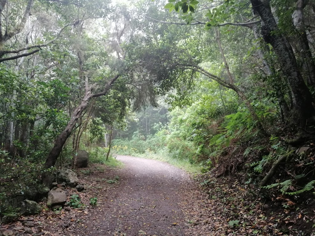 Pista Monte Del Agua