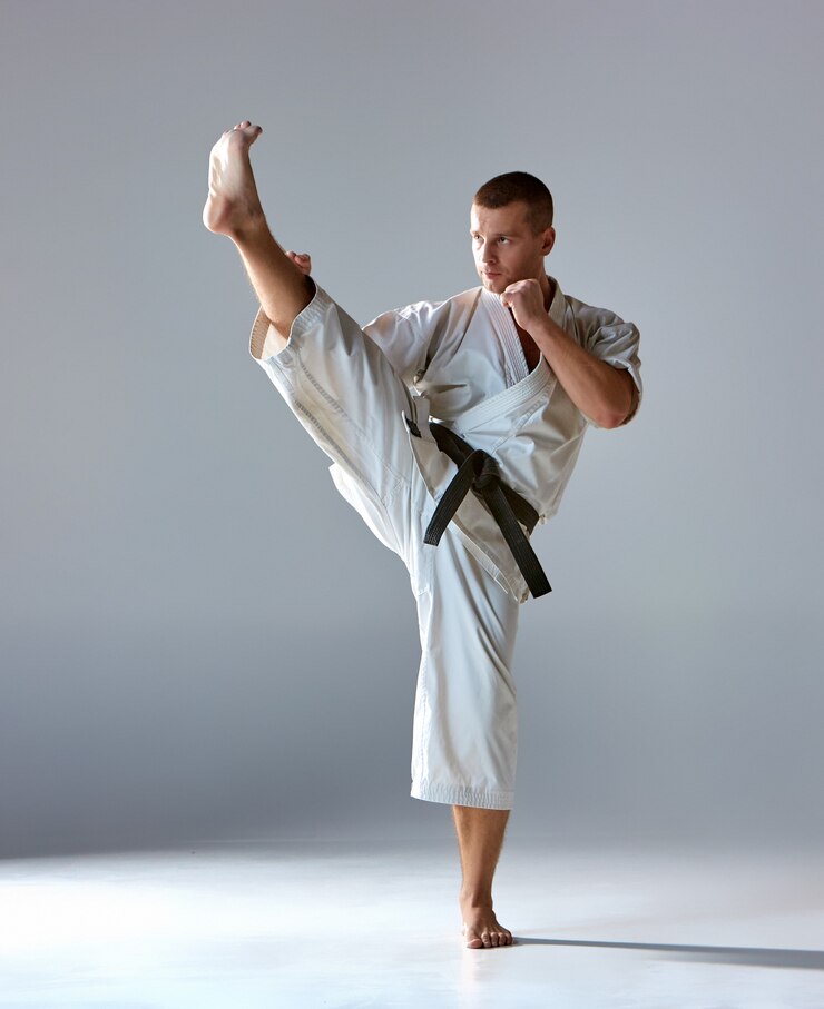 Black Belt Academy — Arte marcial
