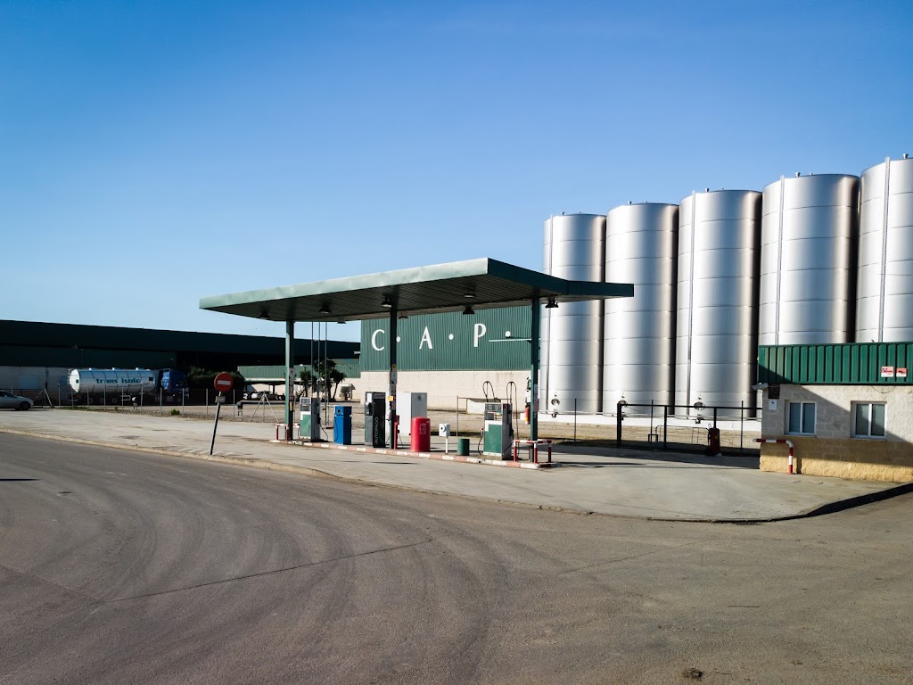 Gasolinera CAPI