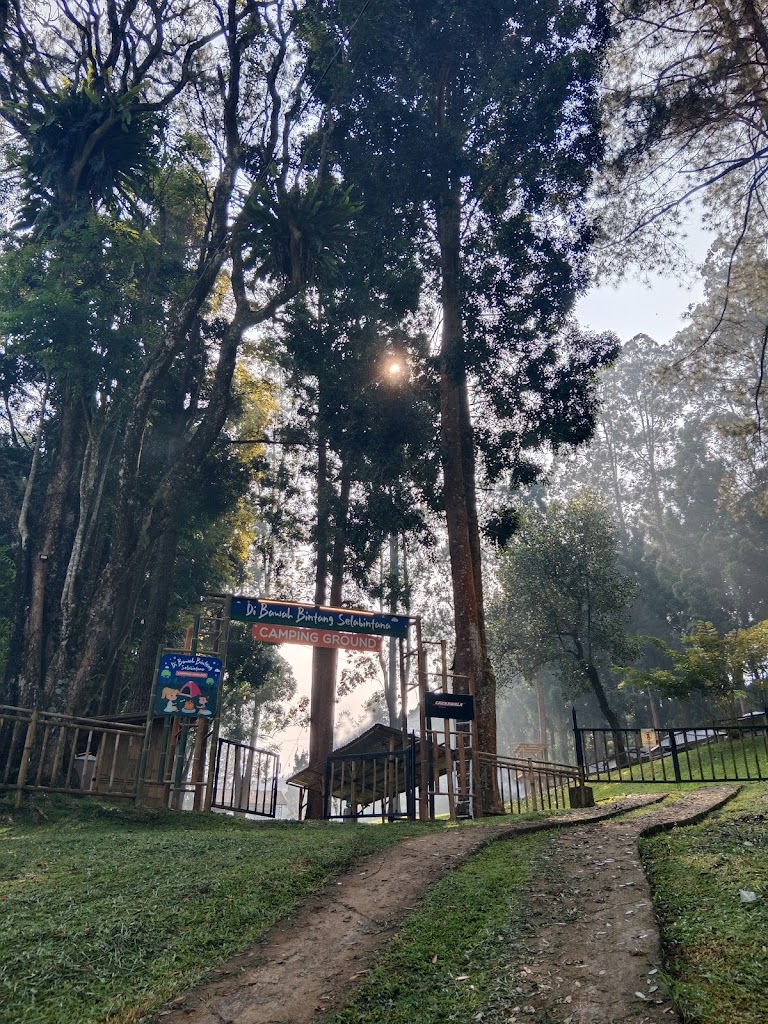 Camp Ground Dibawah Bintang Selabintana