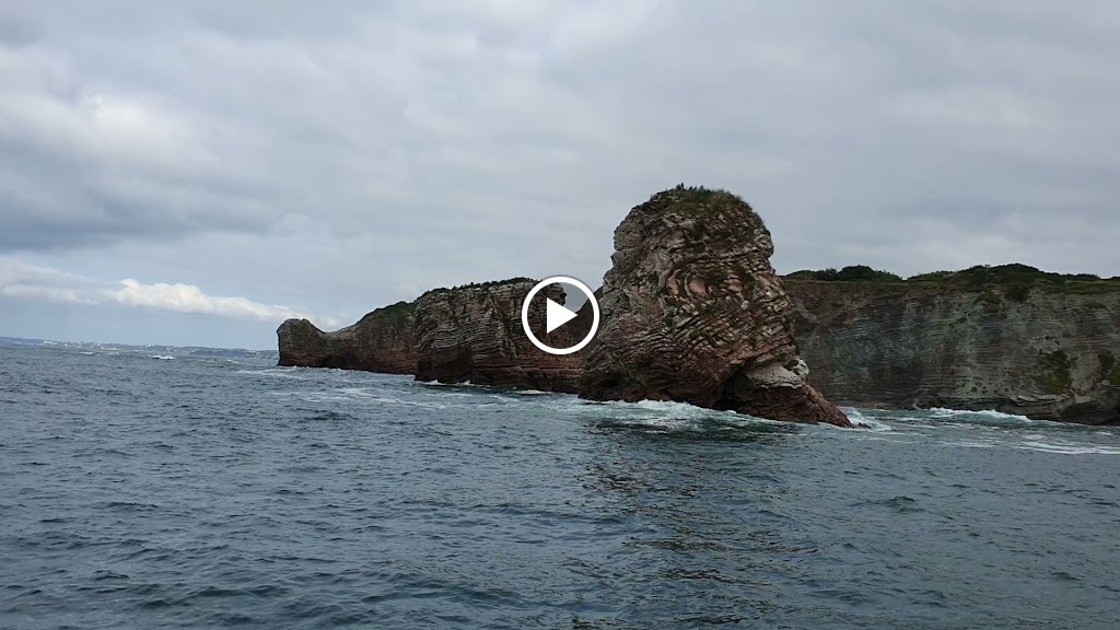 Jolaski - Catamaran Higuer — Videos