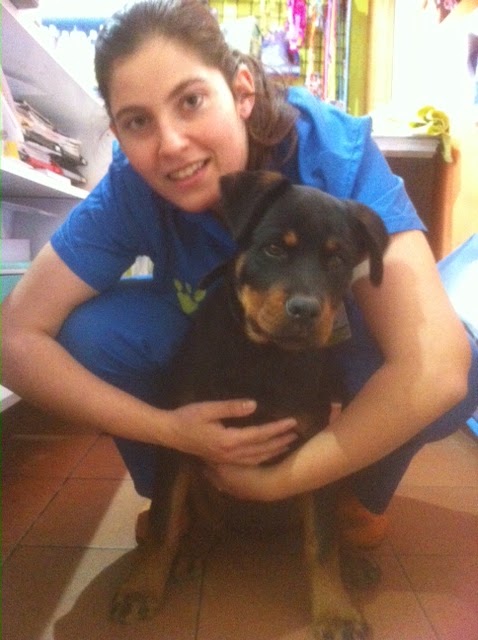 Centro Veterinario Wecan La Creu II — Del propietario