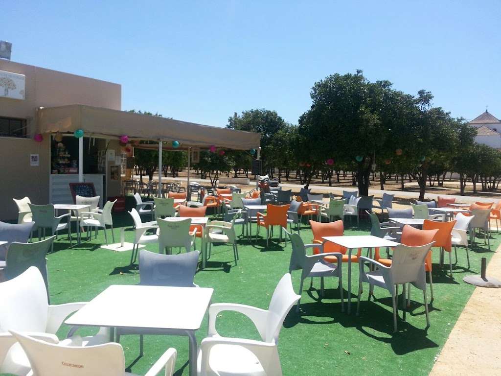 bar al parke BIGOTE — Ambiente