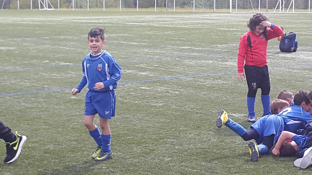 CAMPO DE FUTBOL PORRINO INDUSTRIAL