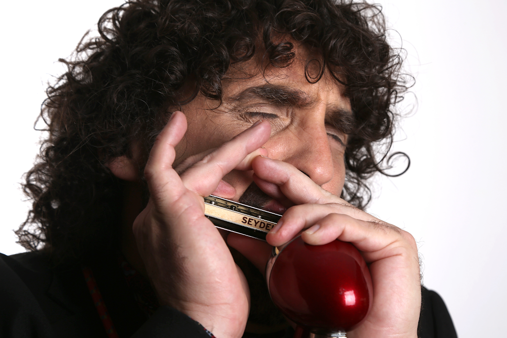 Profesor de Armonica, Escuela, Clases, Curso, Aprender como tocar - Presenciales y Online