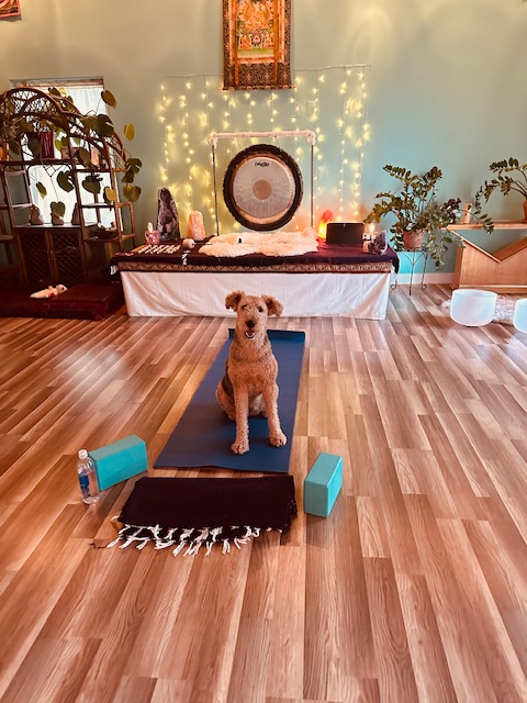  Magnificent Hands Center for Healing