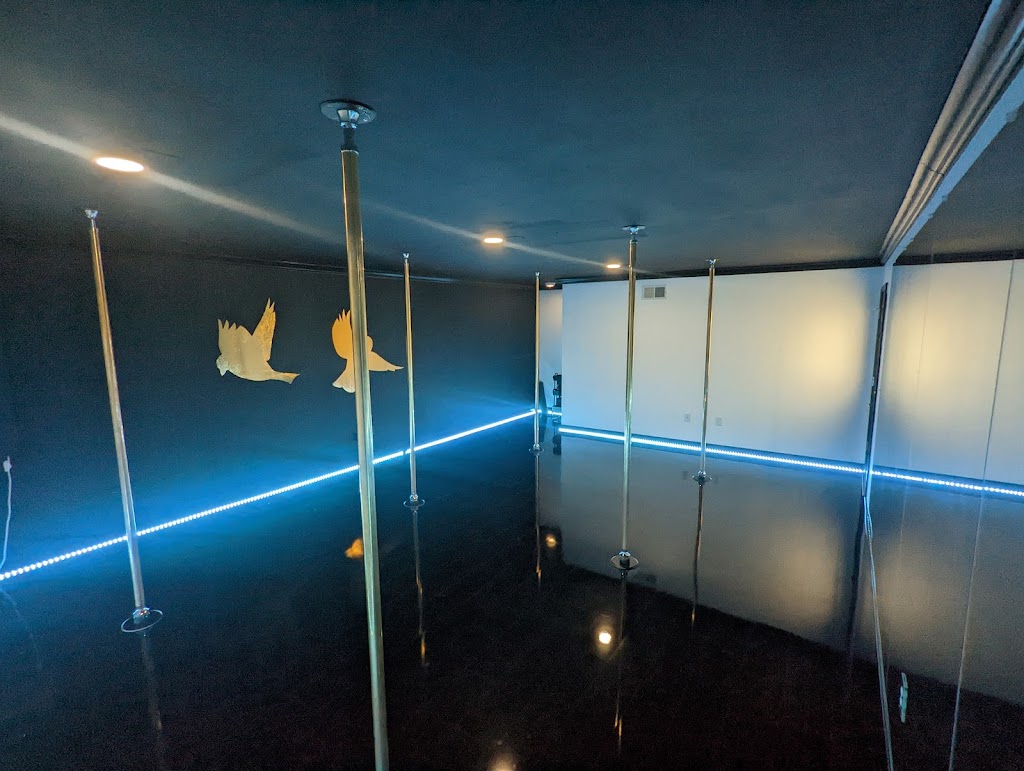  Two Sparrows Aerial Dance Co.