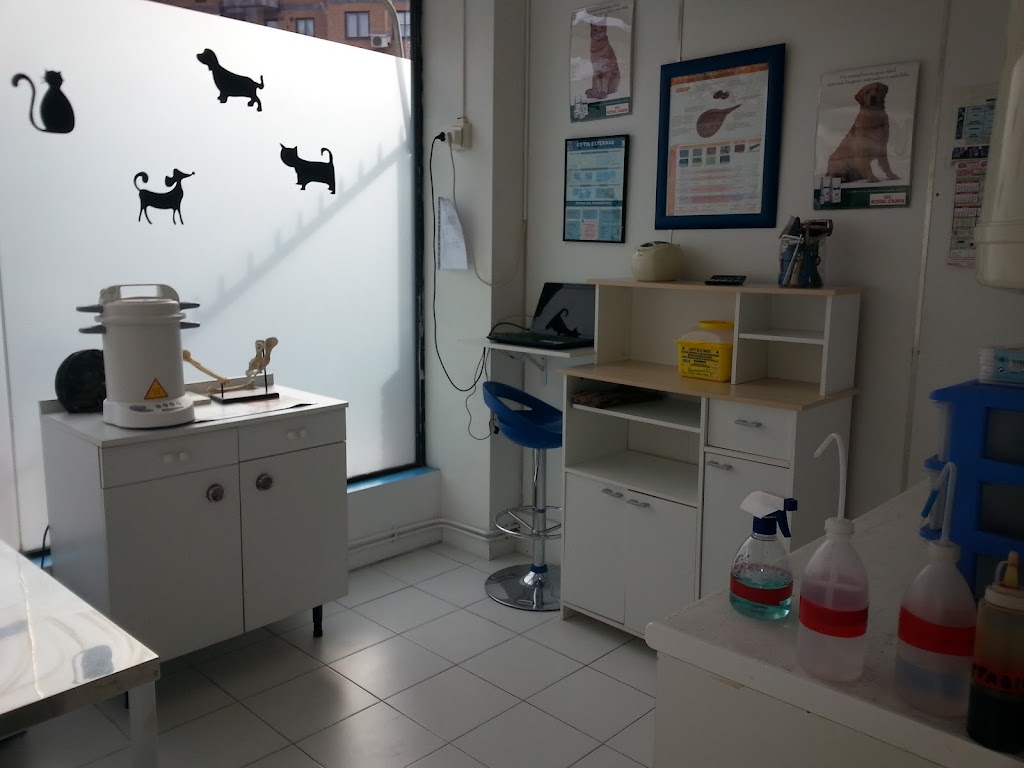 Clinica Veterinaria Avenida de Espana