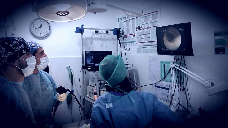 Clinica Veterinaria Valcan