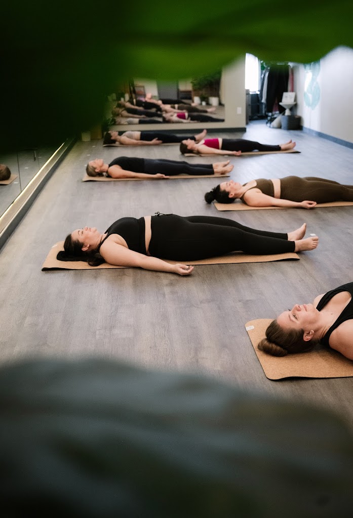  The Life Yoga Studio