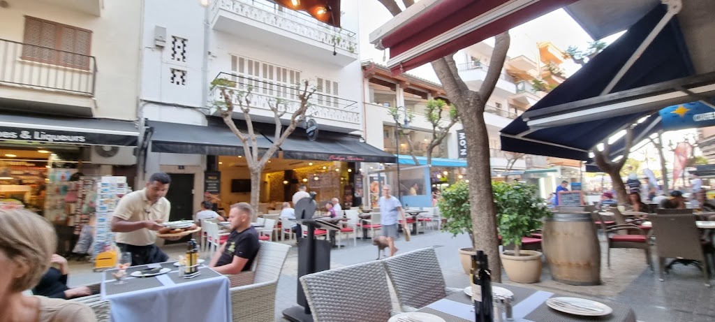 Flamenco Puerto de Alcudia