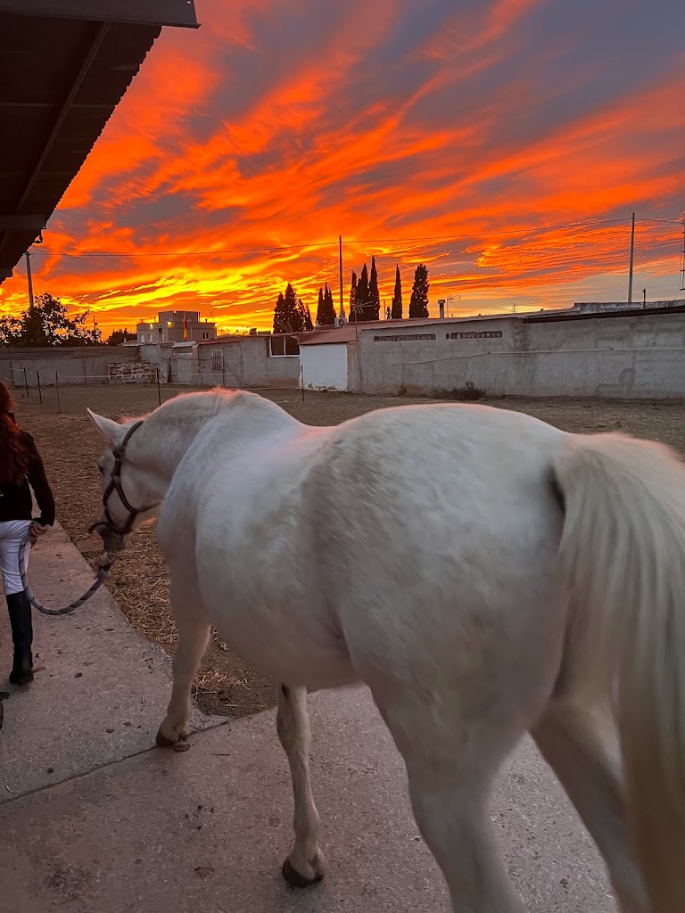 HIPICA LA CUADRA DE JAVI