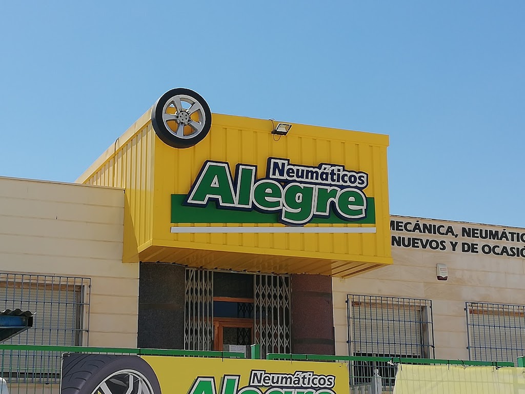 Neumaticos Alegre