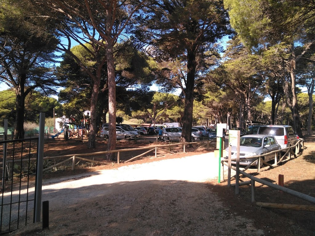 Area Recreativa Majales del Sol