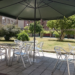 Bar Zikos — Ambiente