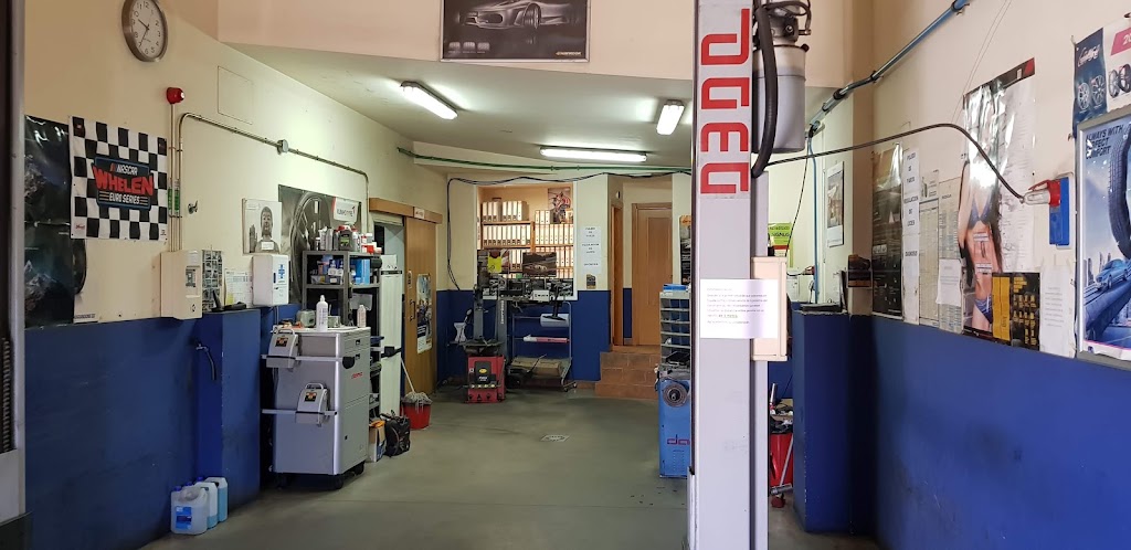 NEUMATICOS TECNIAVILA — Interior