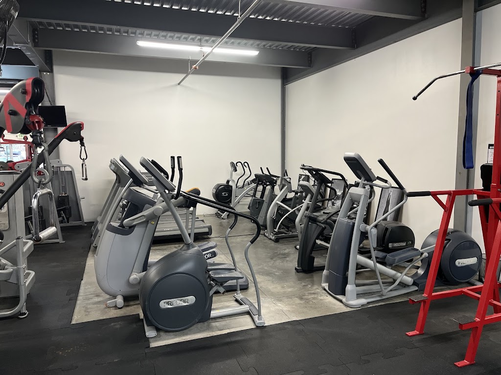  Island Strength and Movement