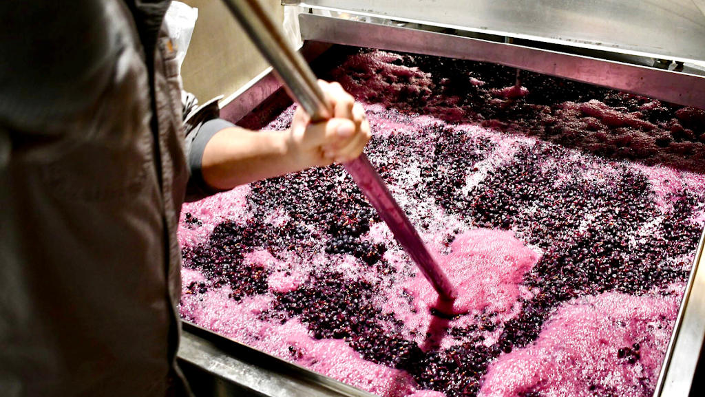  LedgeStone Vineyards & Winery