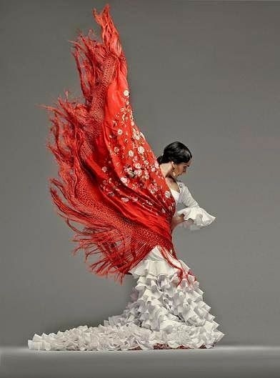 Escuela de Danza Releve y Ole — Del propietario