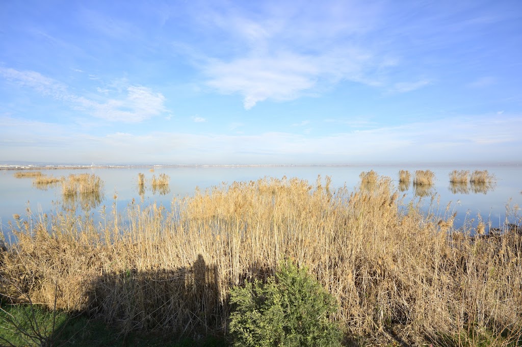 Torre mirador del Tancat de Milia