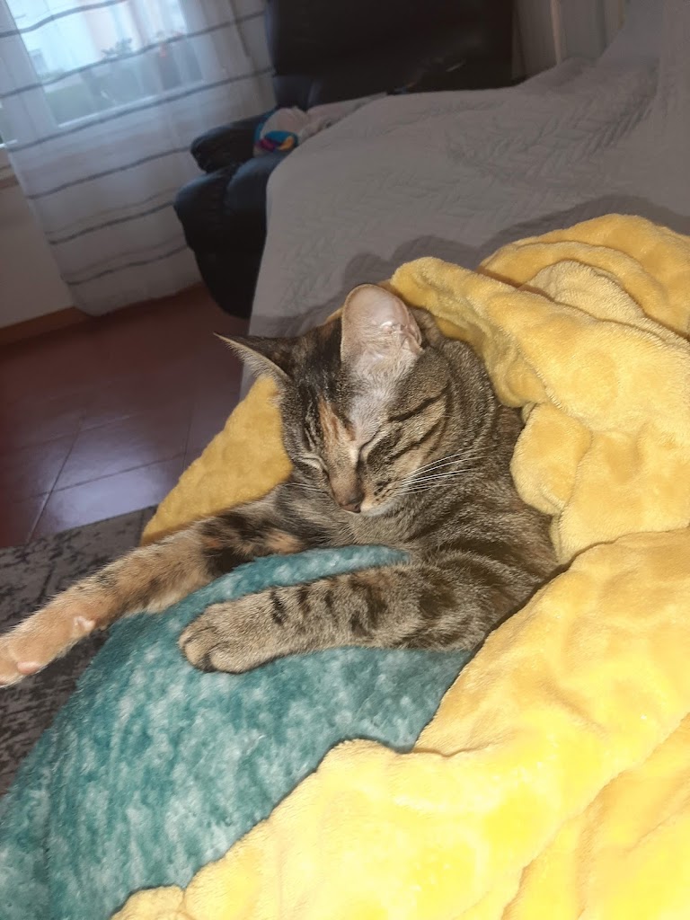 Foto da avaliação