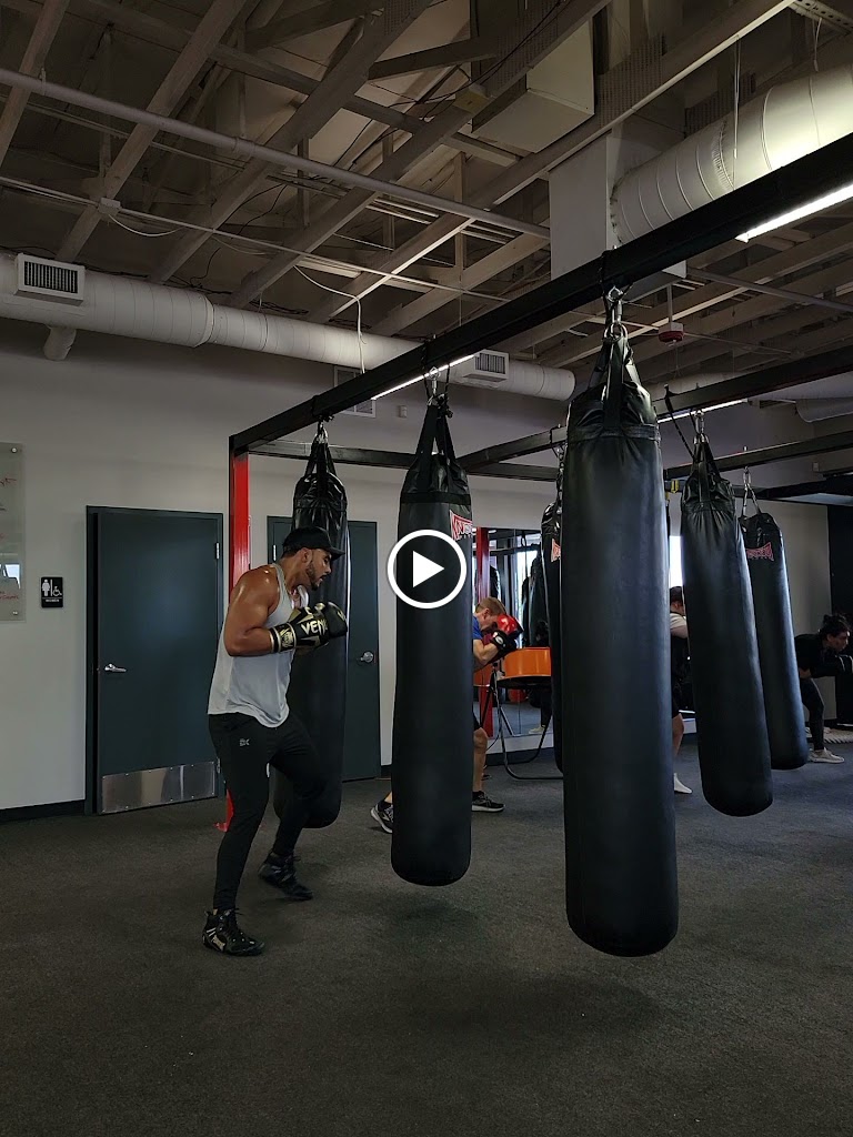  Knockout Fitness- Surprise