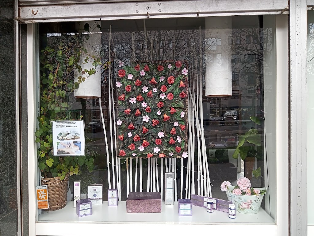 Marina Arguello Salud Estetica y Armonia — Exterior